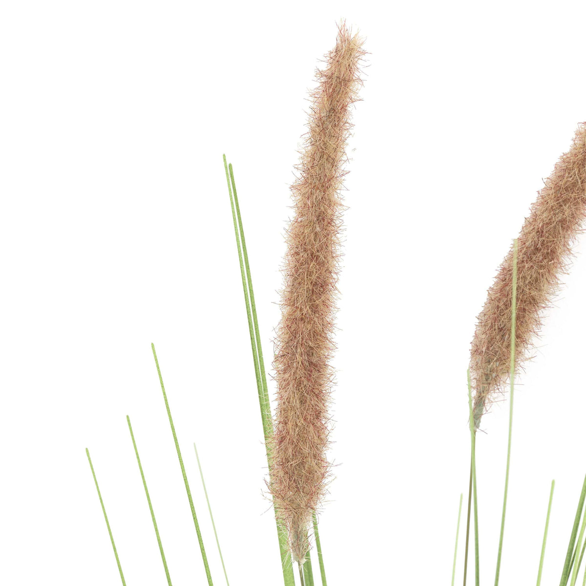 Bodhi Accessories Faux Grass with Seed Heads Natural 12pk House of Isabella UK