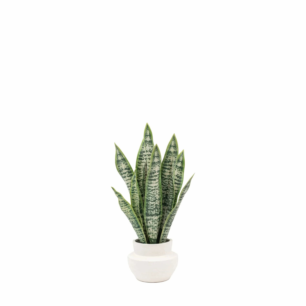 Bodhi Accessories Faux Snake Plant in Ceramic Pot House of Isabella UK