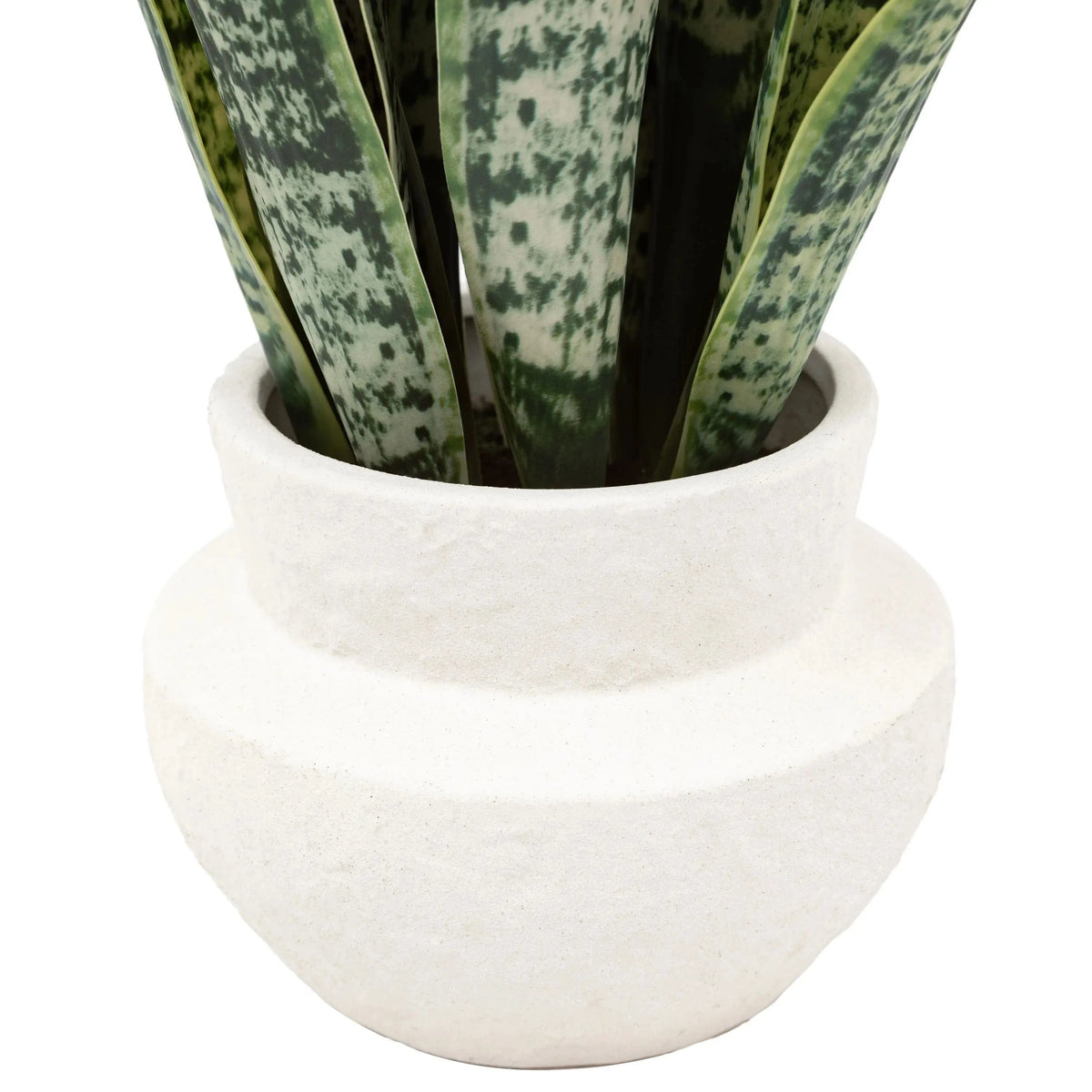 Bodhi Accessories Faux Snake Plant in Ceramic Pot House of Isabella UK