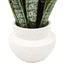 Bodhi Accessories Faux Snake Plant in Ceramic Pot House of Isabella UK