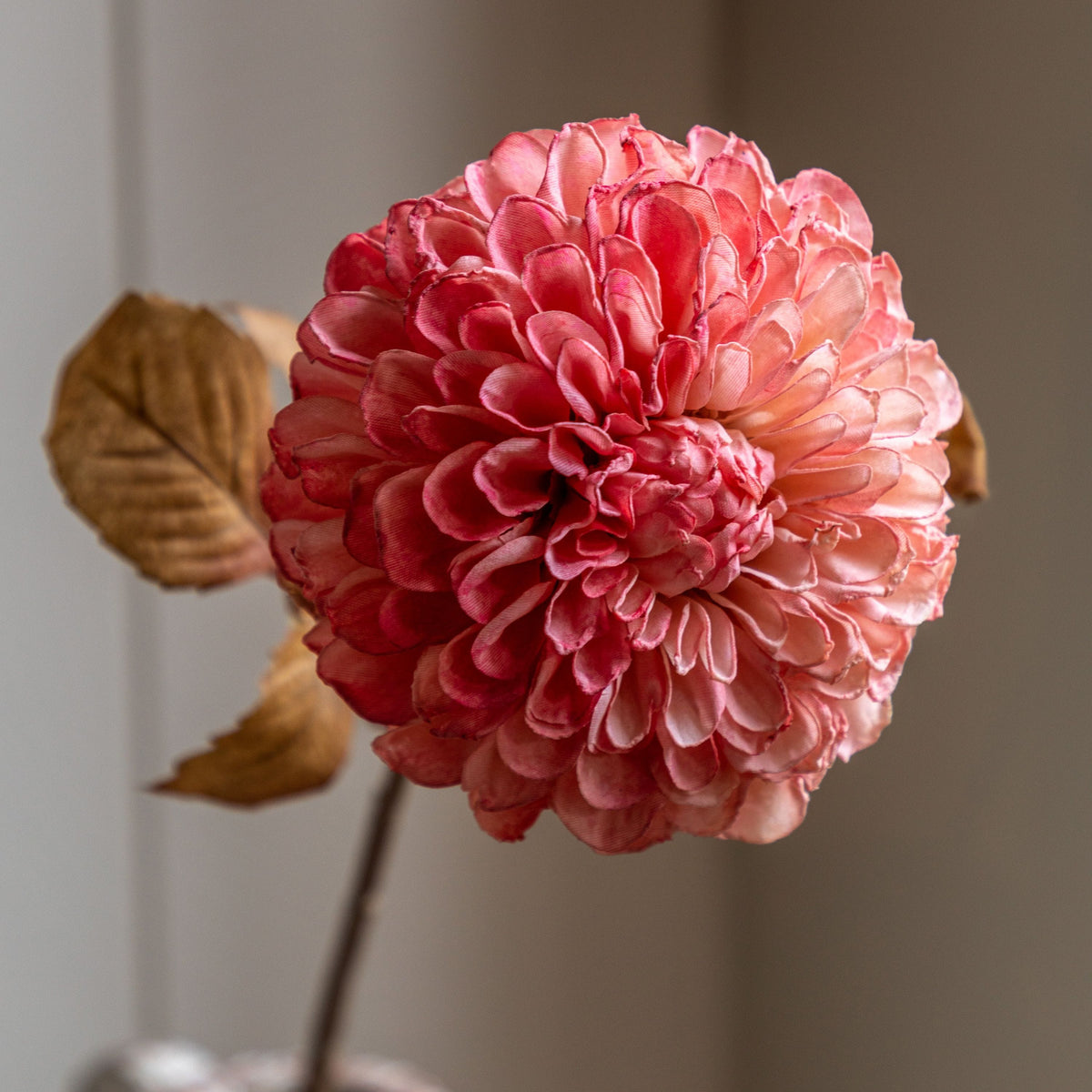 Bodhi Accessories Faux Stem Dahlia Apricot 6pk House of Isabella UK