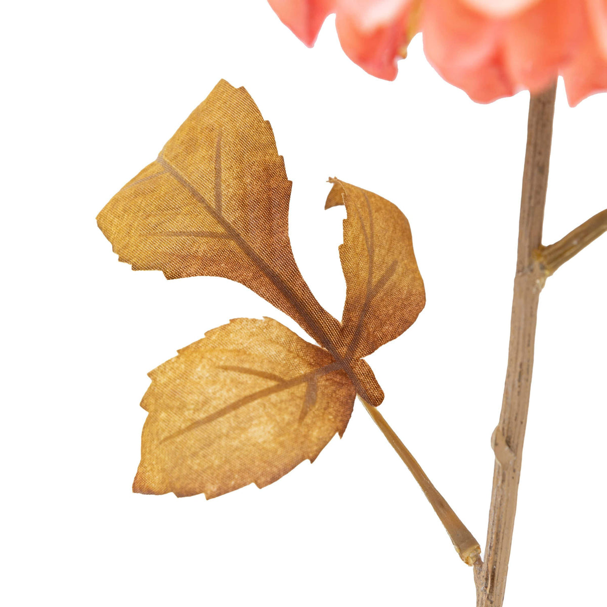 Bodhi Accessories Faux Stem Dahlia Apricot 6pk House of Isabella UK