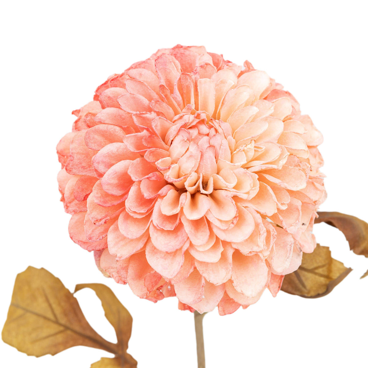 Bodhi Accessories Faux Stem Dahlia Apricot 6pk House of Isabella UK