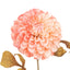 Bodhi Accessories Faux Stem Dahlia Apricot 6pk House of Isabella UK
