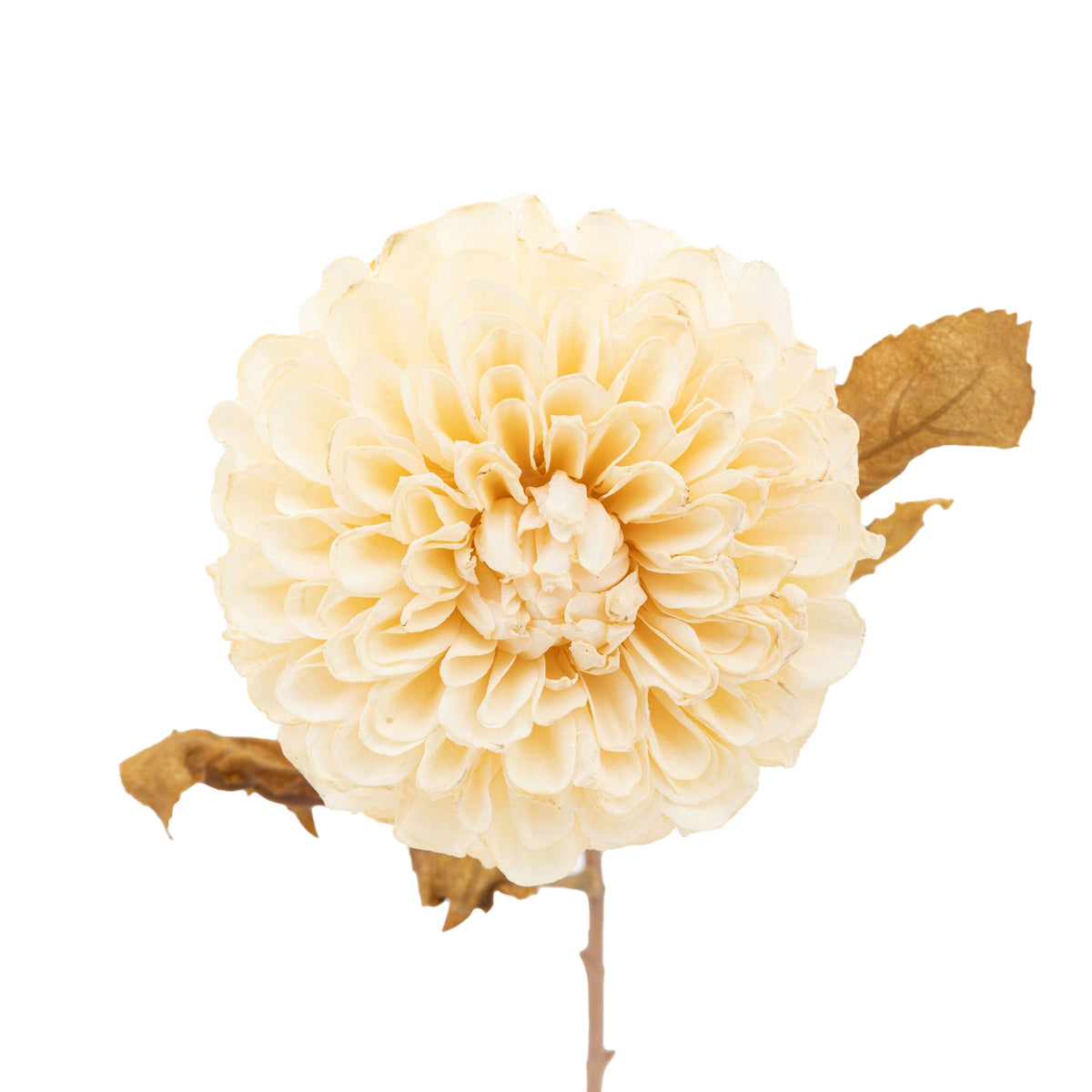 Bodhi Accessories Faux Stem Dahlia Ivory 6pk House of Isabella UK