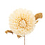 Bodhi Accessories Faux Stem Dahlia Ivory 6pk House of Isabella UK