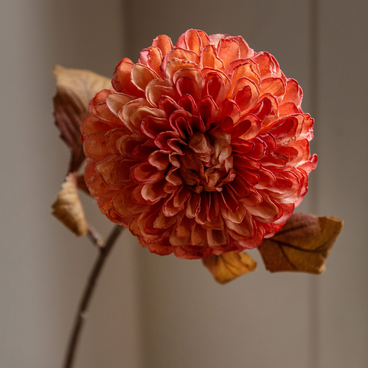 Bodhi Accessories Faux Stem Dahlia Orange 6pk House of Isabella UK