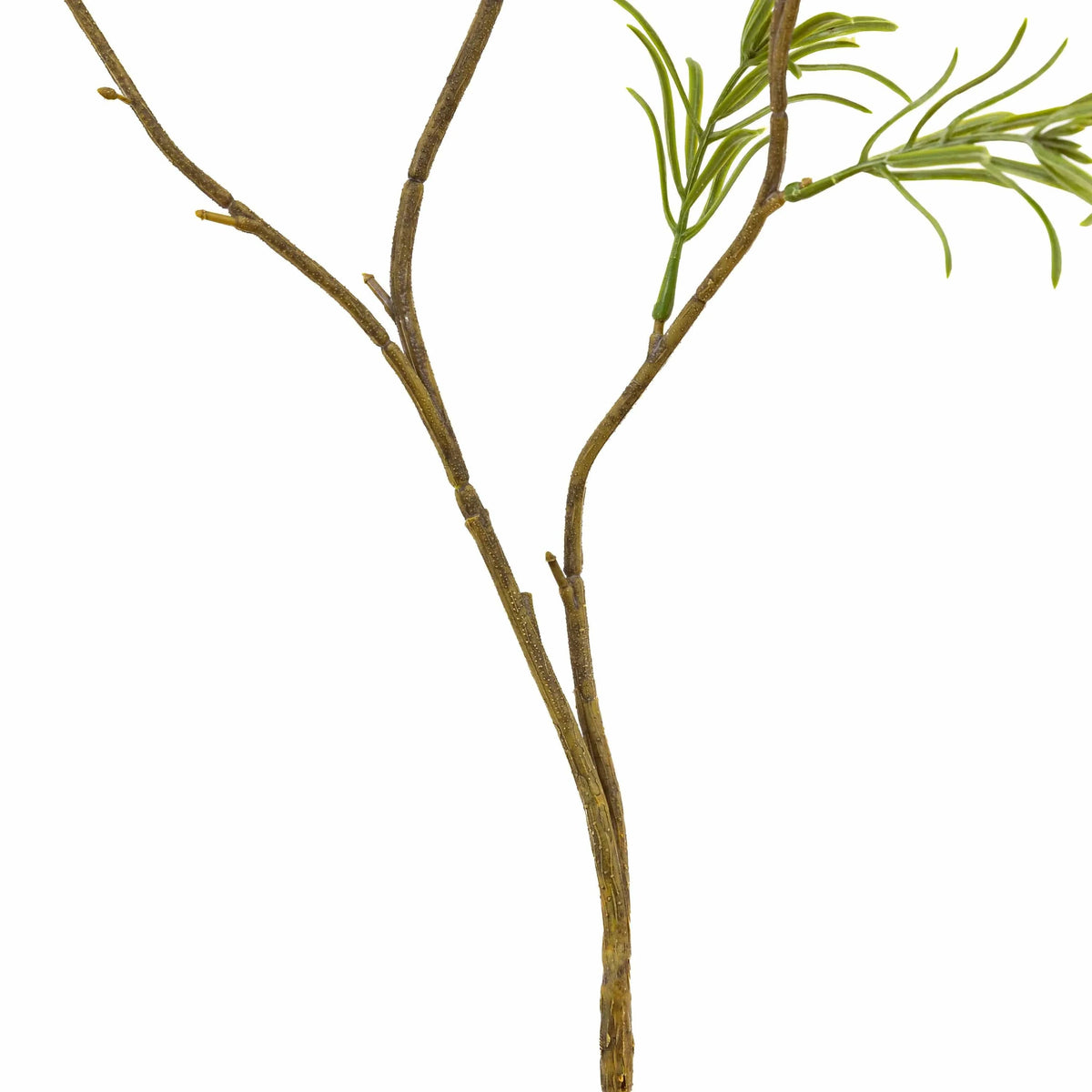 Bodhi Accessories Faux Stem Rosemary Green 12pk House of Isabella UK