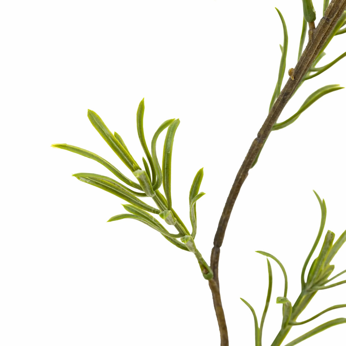 Bodhi Accessories Faux Stem Rosemary Green 12pk House of Isabella UK