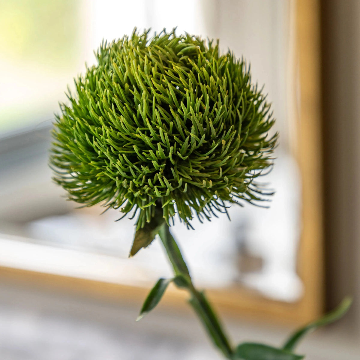 Bodhi Accessories Faux Stem Statement Bloom Green 12pk House of Isabella UK