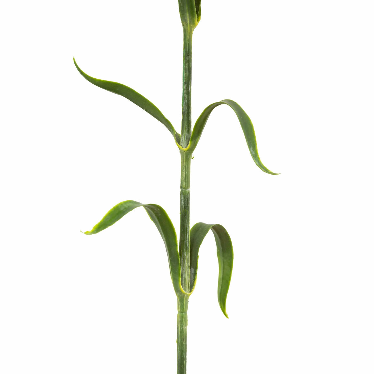 Bodhi Accessories Faux Stem Statement Bloom Green 12pk House of Isabella UK