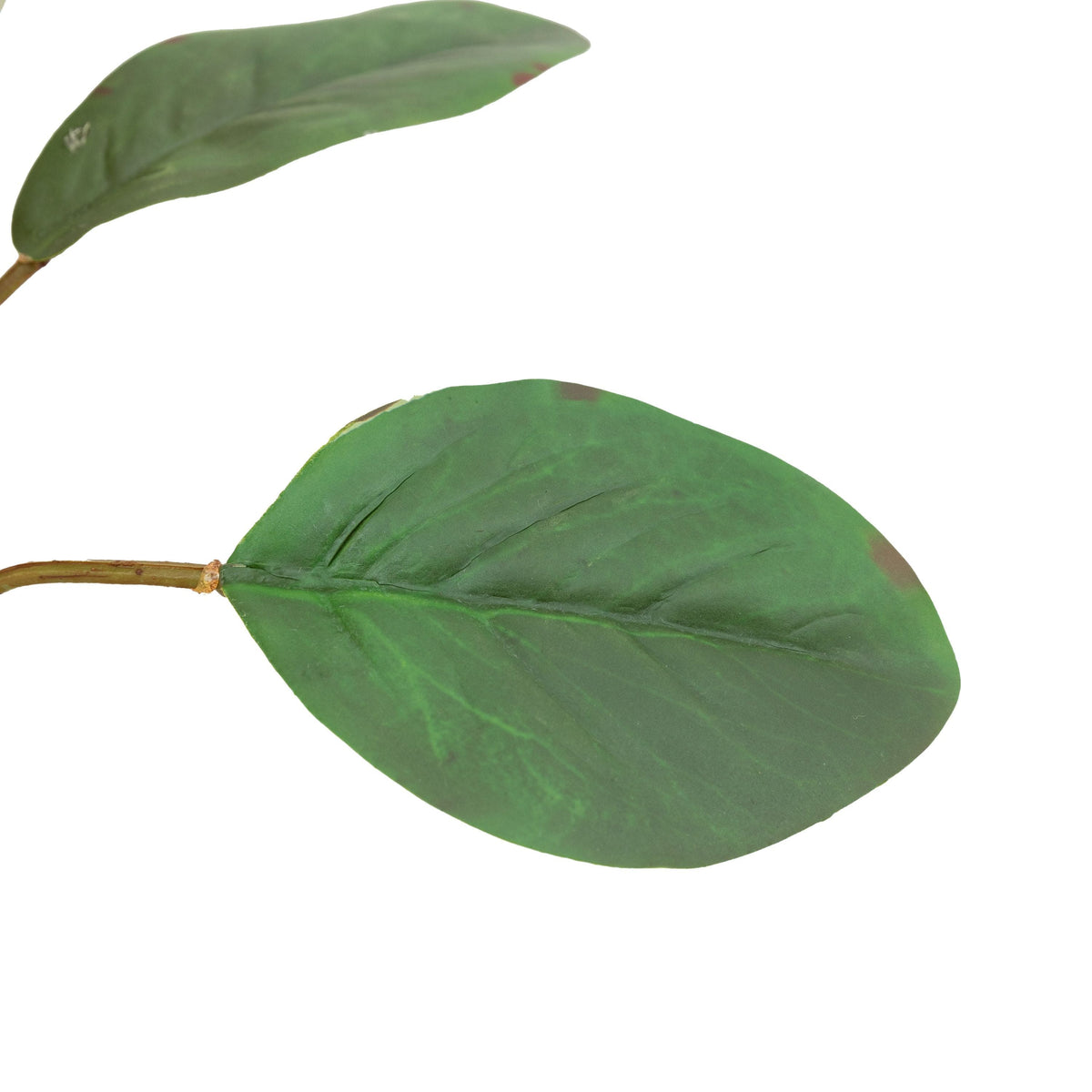 Bodhi Accessories Faux Stem Statement Tropical Apricot 12pk House of Isabella UK