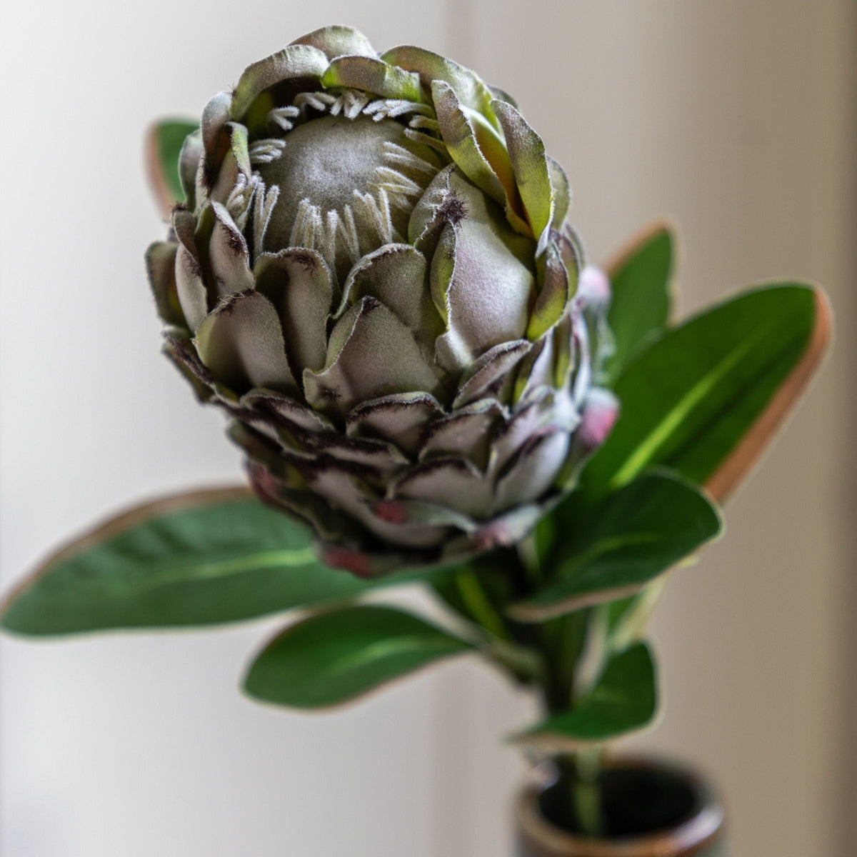 Bodhi Accessories Faux Stem Statement Tropical Green 12pk House of Isabella UK