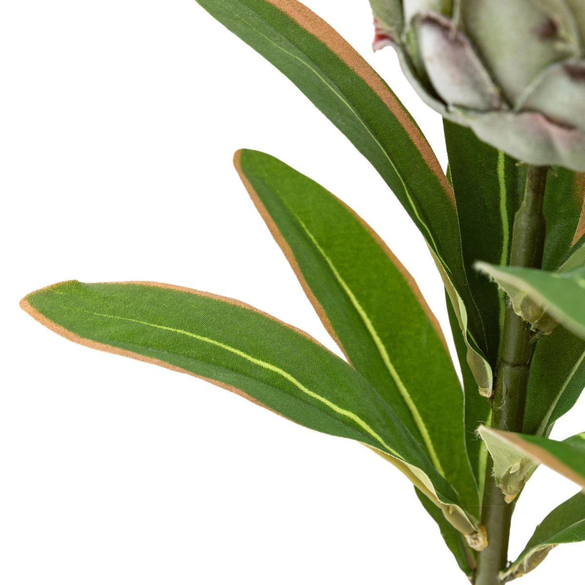 Bodhi Accessories Faux Stem Statement Tropical Green 12pk House of Isabella UK