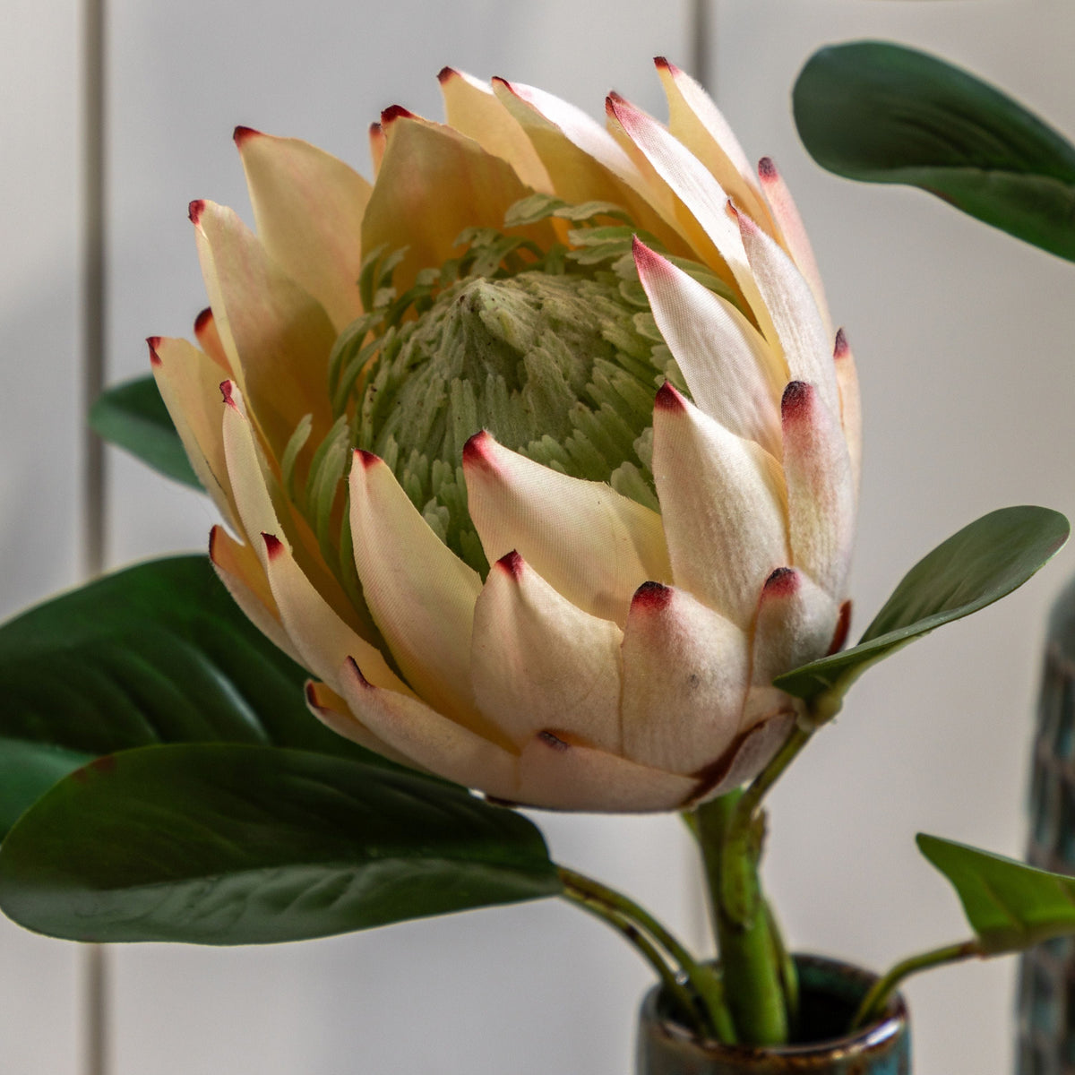 Bodhi Accessories Faux Stem Statement Tropical Ivory 12pk House of Isabella UK