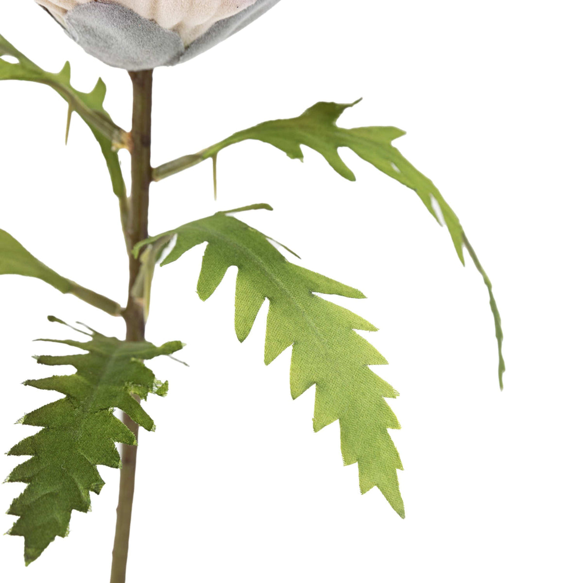 Bodhi Accessories Faux Stem Statement Tropical Lilac 12pk House of Isabella UK