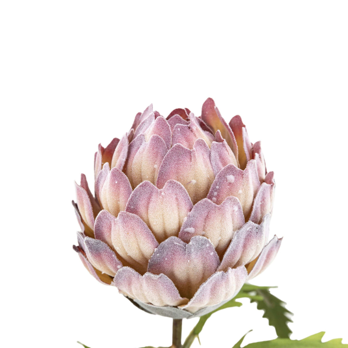 Bodhi Accessories Faux Stem Statement Tropical Lilac 12pk House of Isabella UK