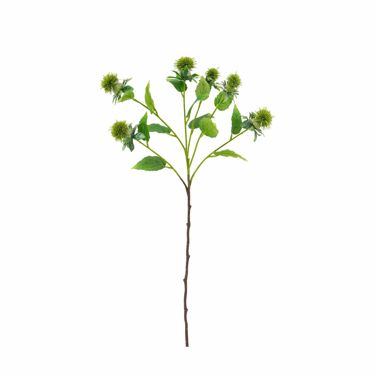 Bodhi Accessories Faux Stem Thistle Green 12pk House of Isabella UK