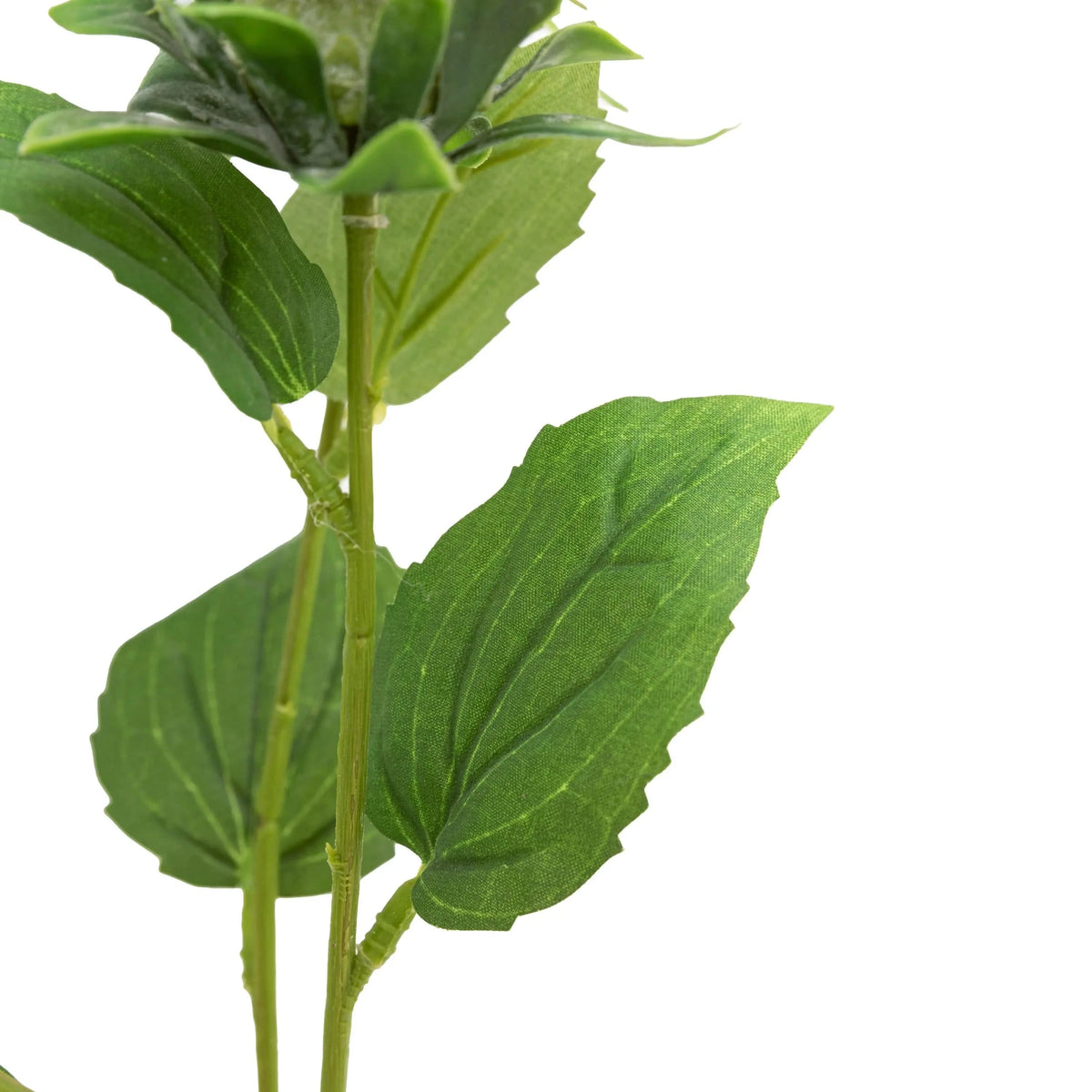 Bodhi Accessories Faux Stem Thistle Green 12pk House of Isabella UK