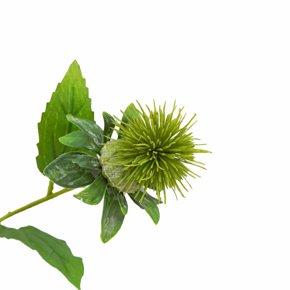 Bodhi Accessories Faux Stem Thistle Green 12pk House of Isabella UK