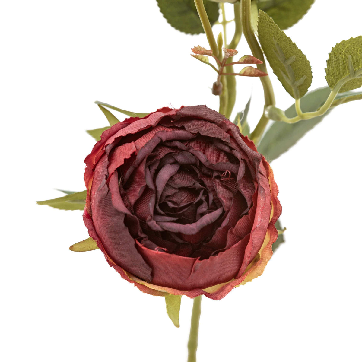 Bodhi Accessories Faux Stem Vintage Rose Claret 6pk House of Isabella UK