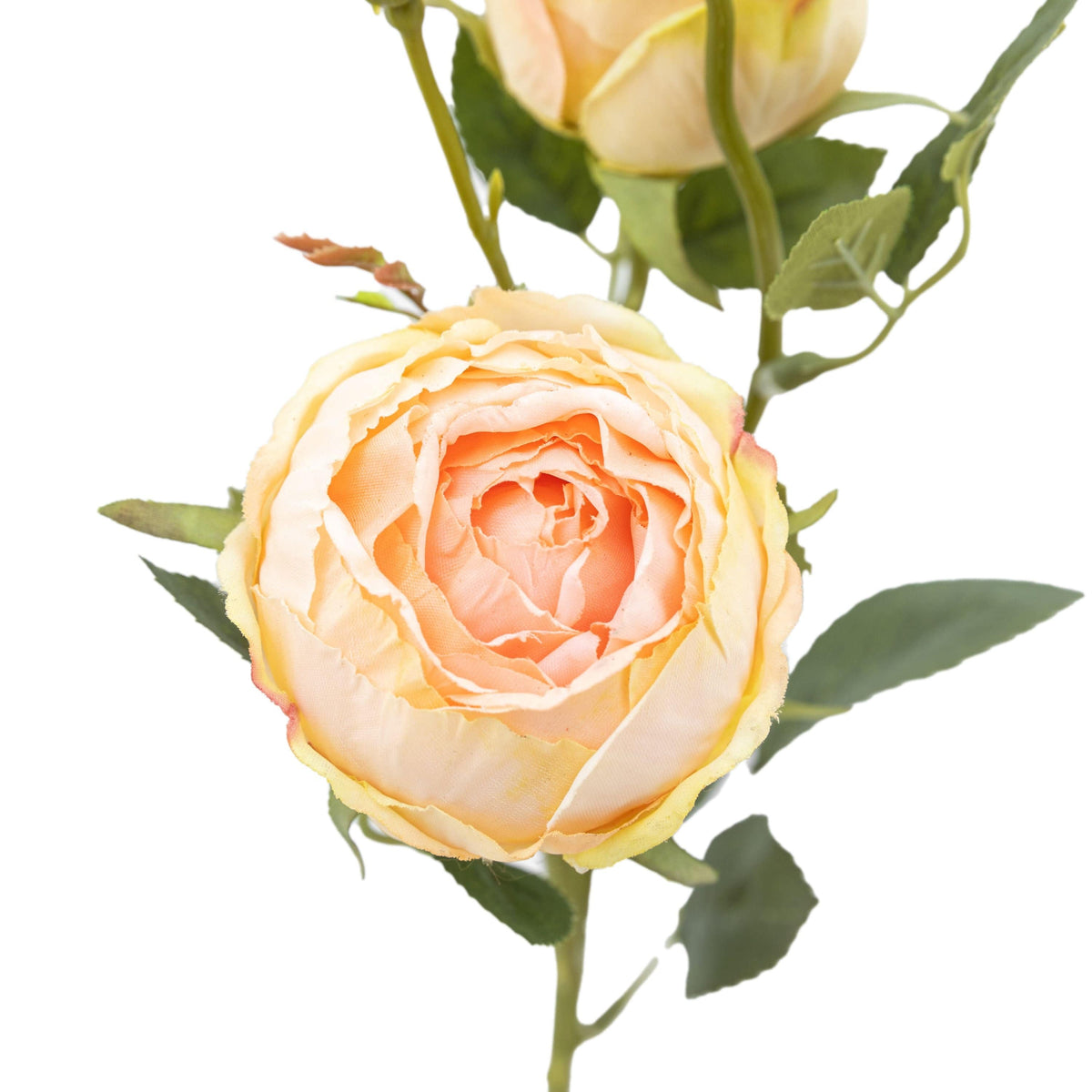 Bodhi Accessories Faux Stem Vintage Rose White 6pk House of Isabella UK