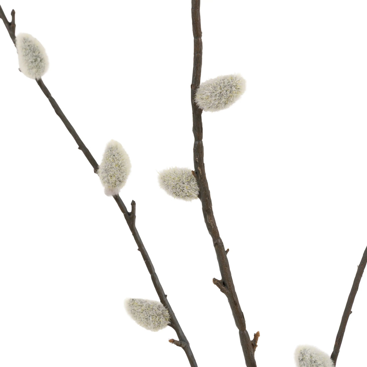 Bodhi Accessories Faux Willow Stem 5pk House of Isabella UK