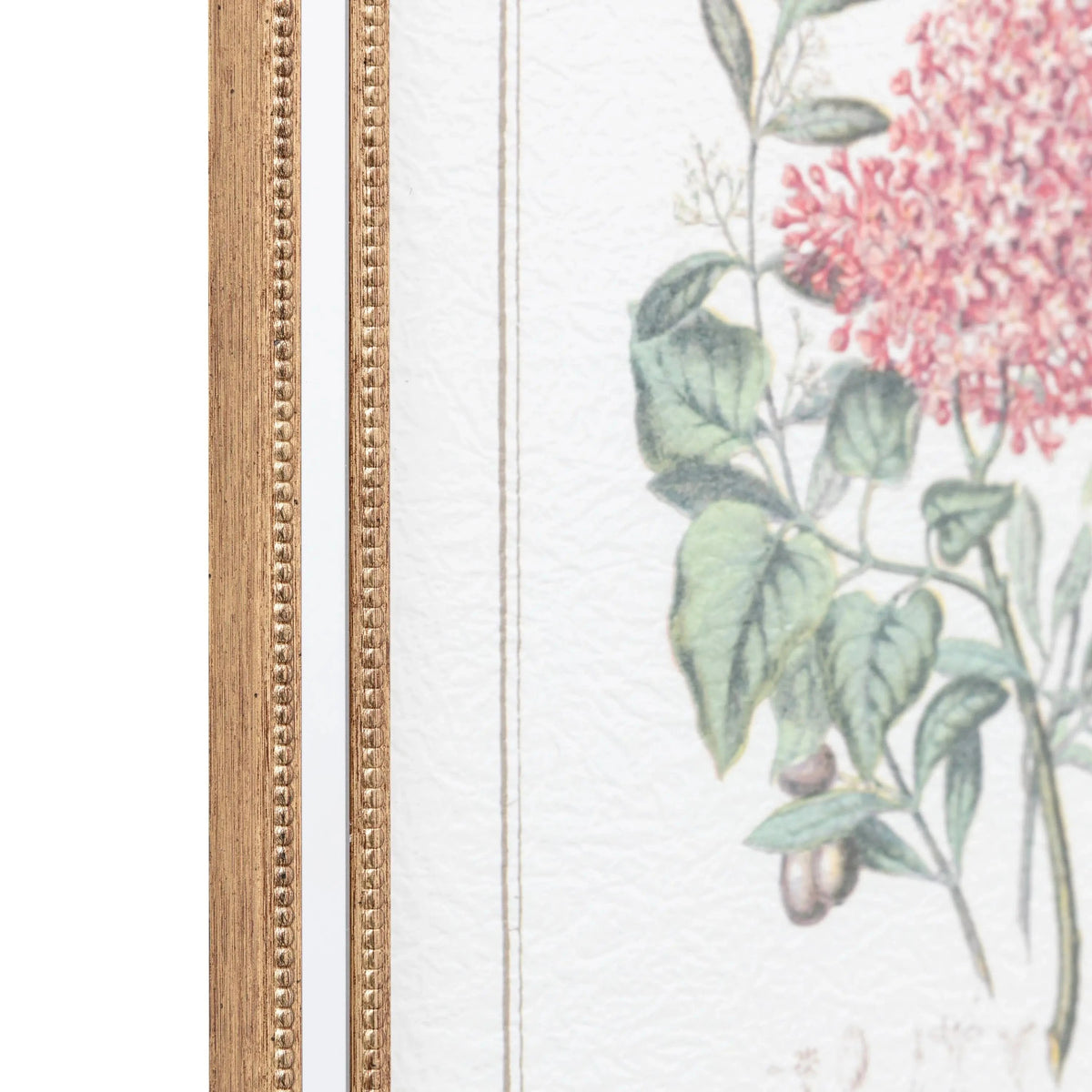 Bodhi Accessories Floral Quartet Framed Art Set of 4 House of Isabella UK