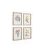 Bodhi Accessories Floral Quartet Framed Art Set of 4 House of Isabella UK
