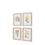 Bodhi Accessories Floral Quartet Framed Art Set of 4 House of Isabella UK