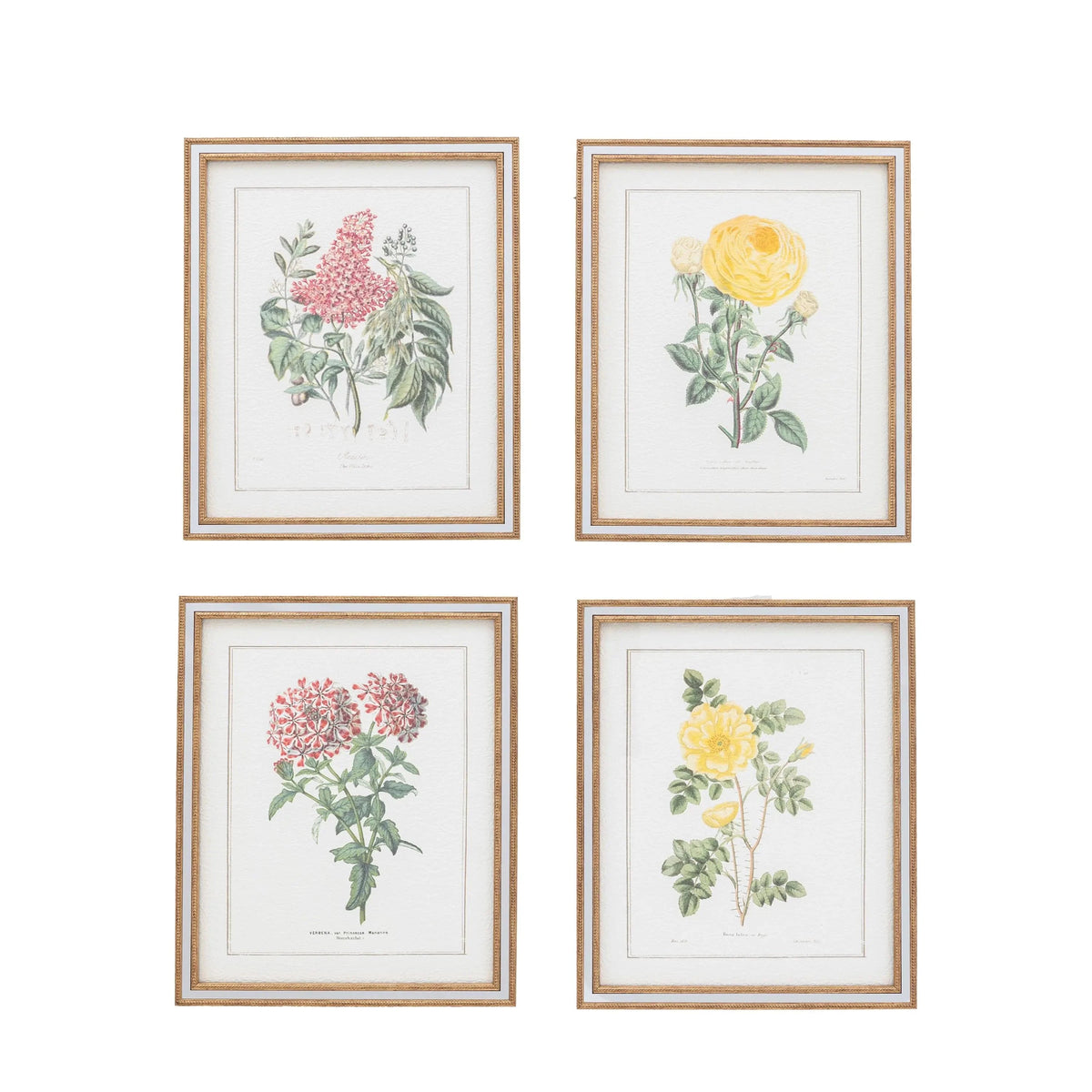 Bodhi Accessories Floral Quartet Framed Art Set of 4 House of Isabella UK