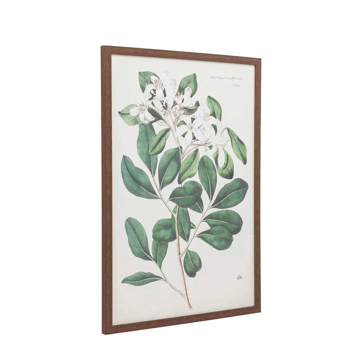 Bodhi Accessories Foliage and Blooms Framed Art House of Isabella UK