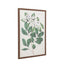 Bodhi Accessories Foliage and Blooms Framed Art House of Isabella UK