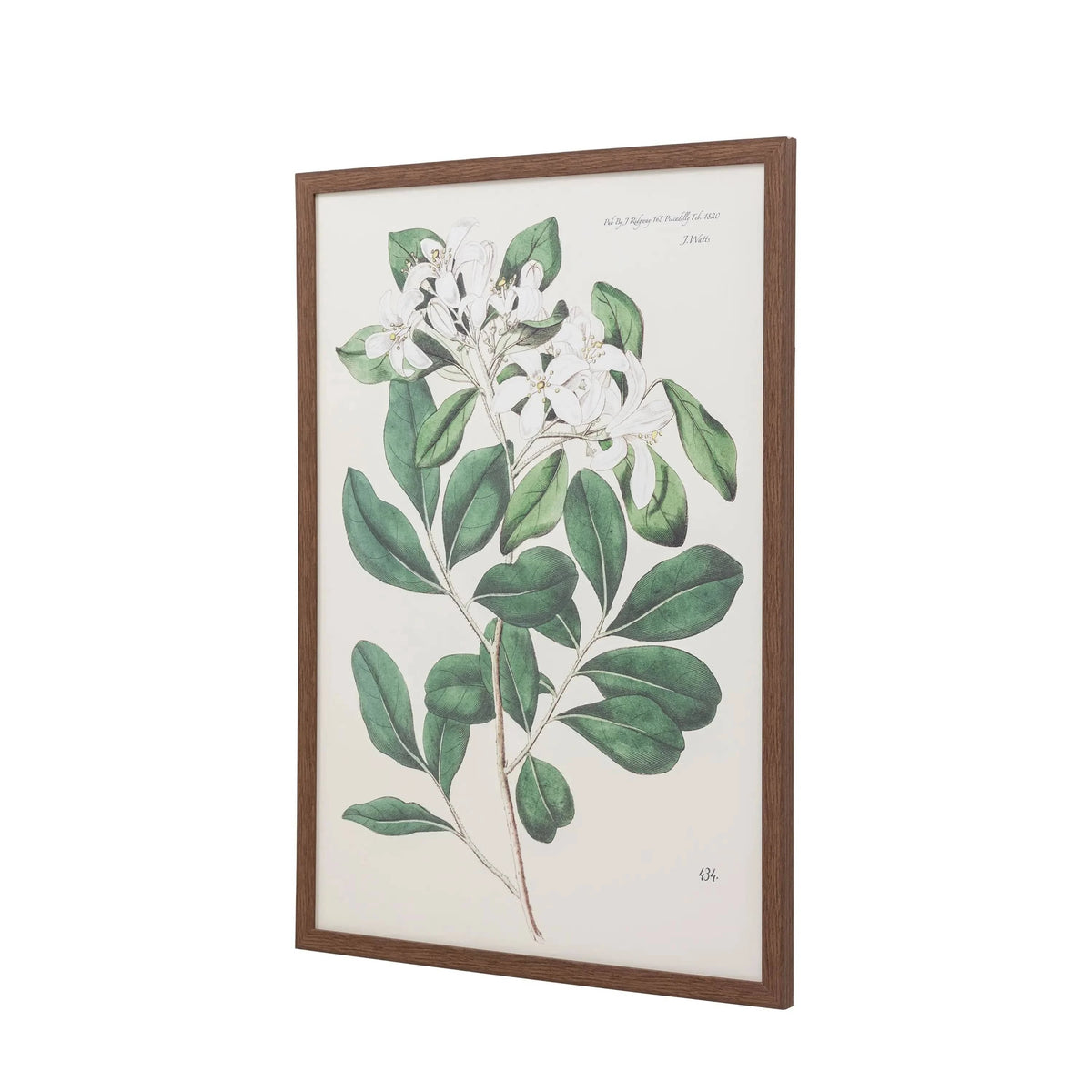 Bodhi Accessories Foliage and Blooms Framed Art House of Isabella UK