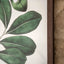 Bodhi Accessories Foliage and Blooms Framed Art House of Isabella UK