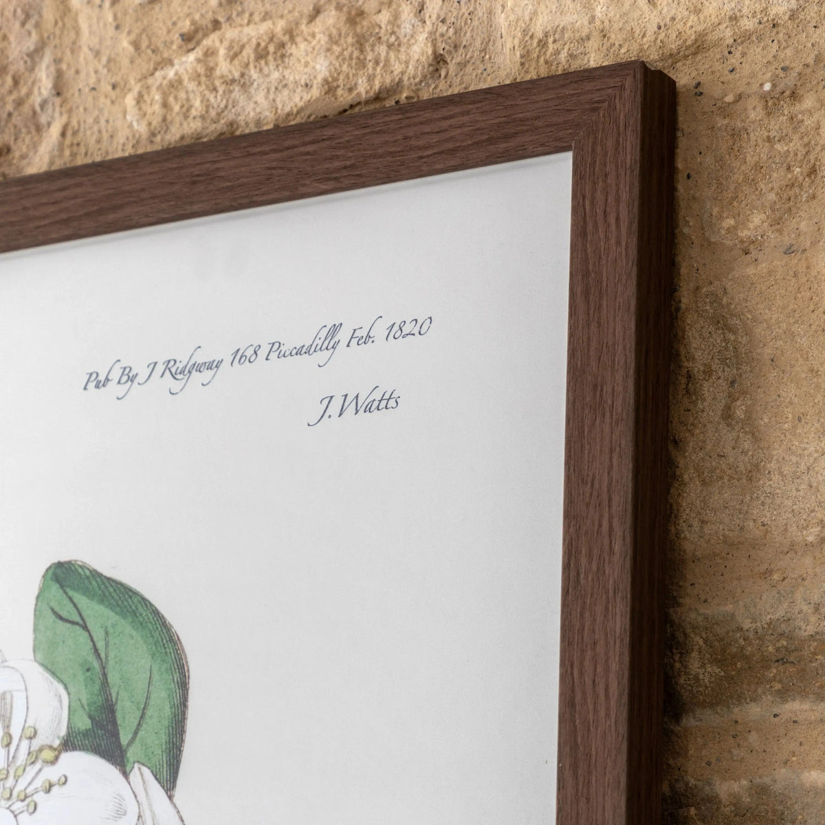 Bodhi Accessories Foliage and Blooms Framed Art House of Isabella UK