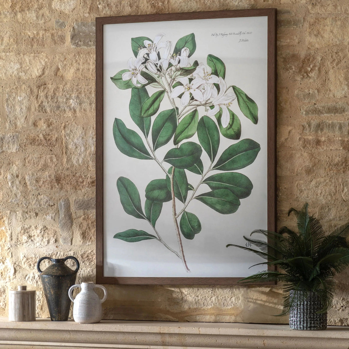 Bodhi Accessories Foliage and Blooms Framed Art House of Isabella UK