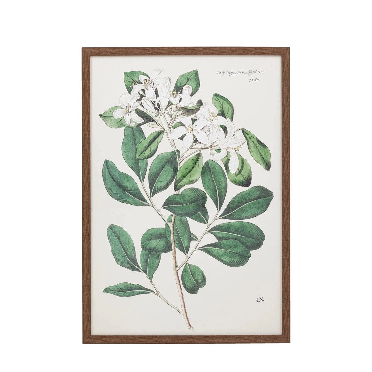 Bodhi Accessories Foliage and Blooms Framed Art House of Isabella UK