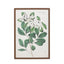Bodhi Accessories Foliage and Blooms Framed Art House of Isabella UK