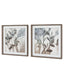Bodhi Accessories Foliage and Form Framed Canvas Set of 2 House of Isabella UK