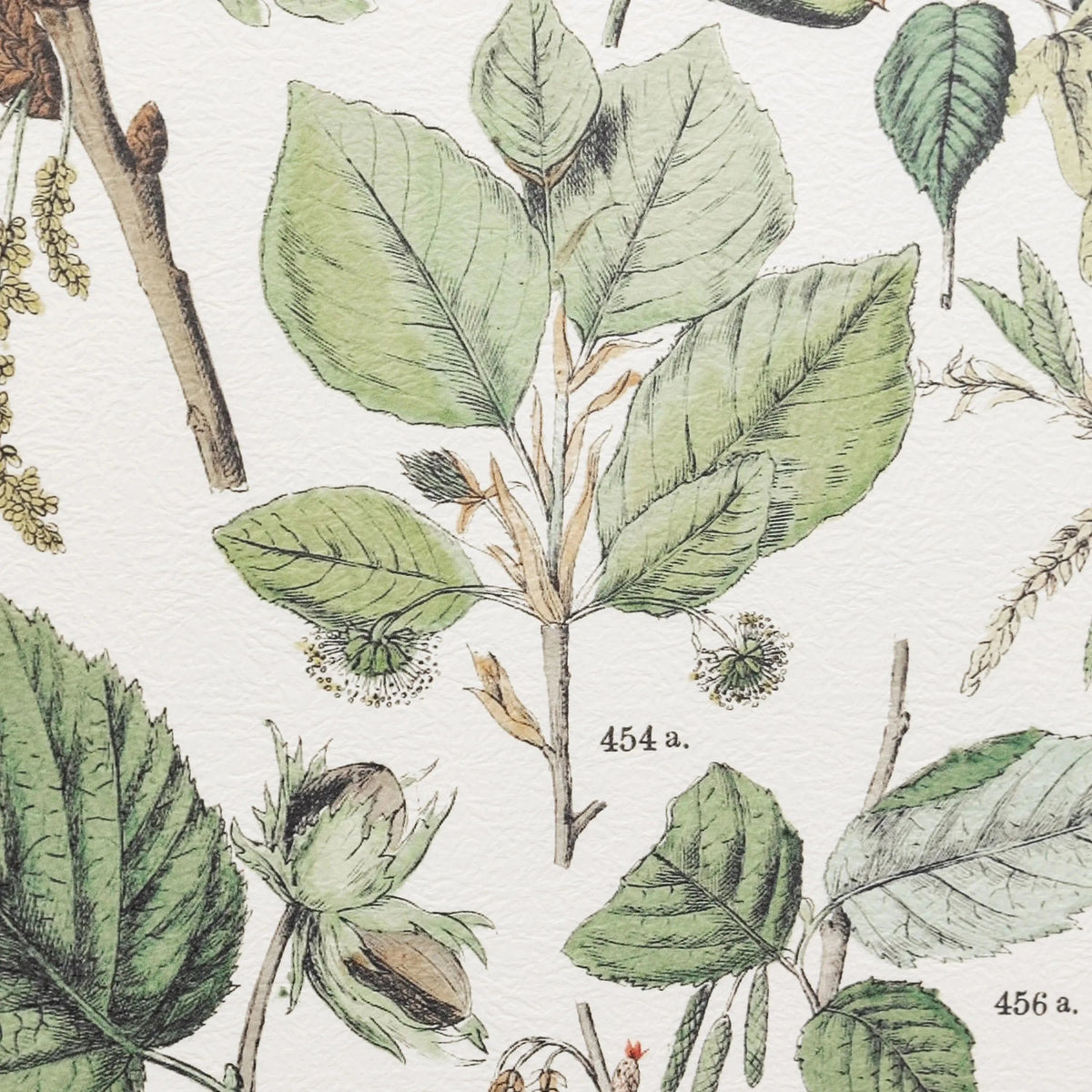 Bodhi Accessories Foliage Study Framed Art Set of 2 House of Isabella UK