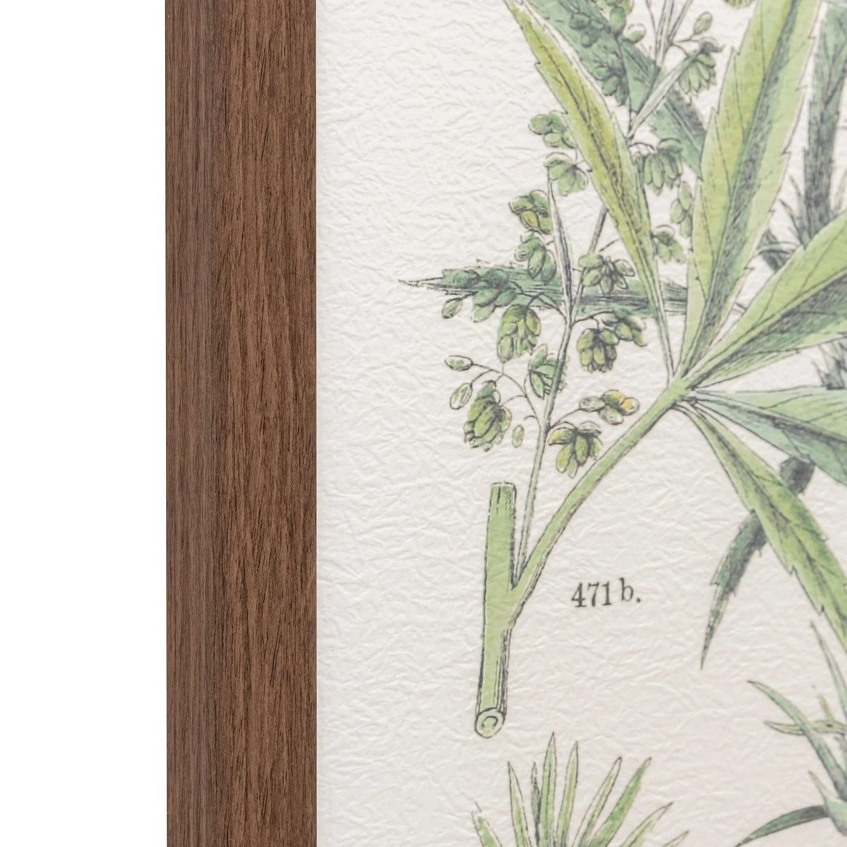 Bodhi Accessories Foliage Study Framed Art Set of 2 House of Isabella UK