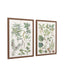 Bodhi Accessories Foliage Study Framed Art Set of 2 House of Isabella UK