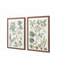 Bodhi Accessories Foliage Study Framed Art Set of 2 House of Isabella UK