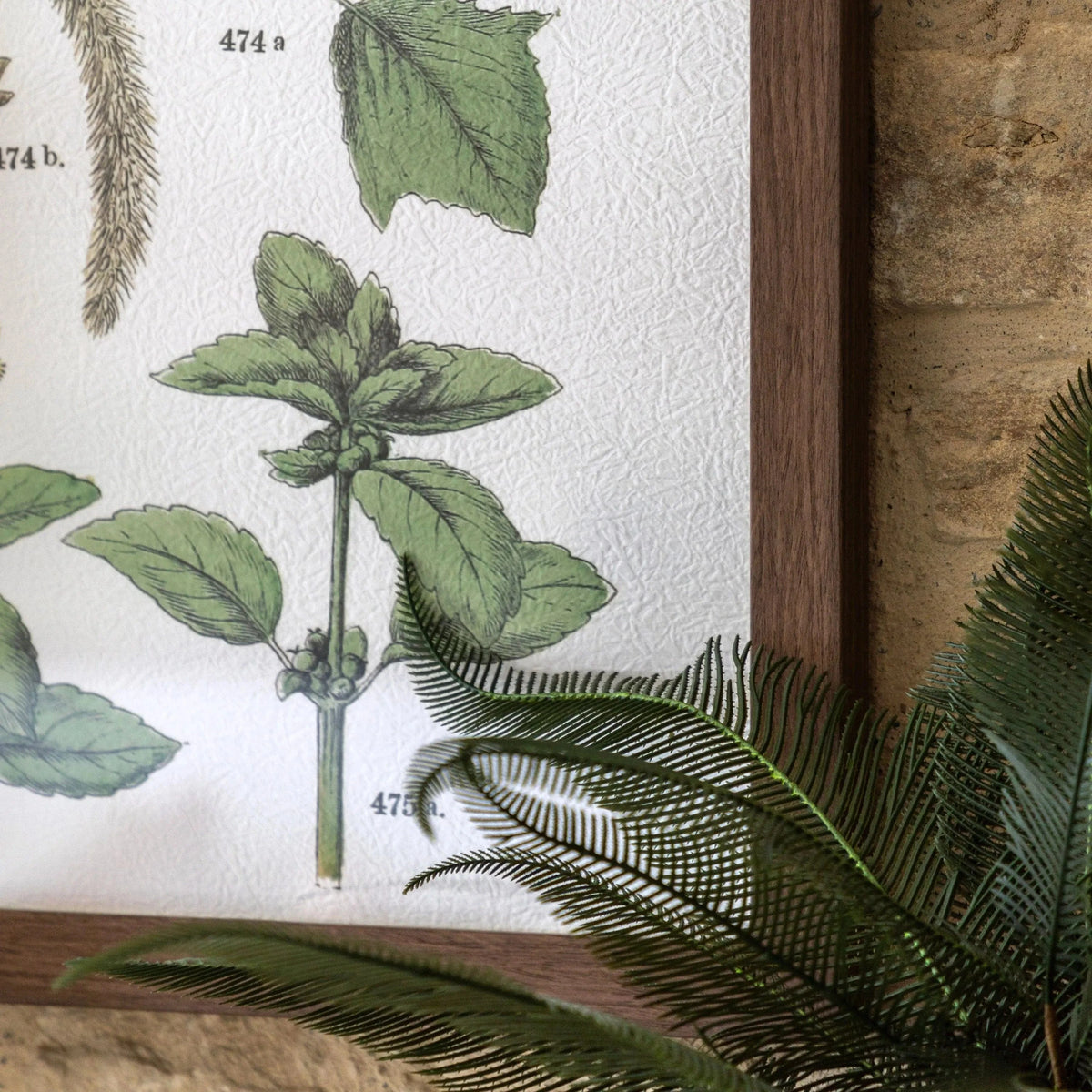 Bodhi Accessories Foliage Study Framed Art Set of 2 House of Isabella UK