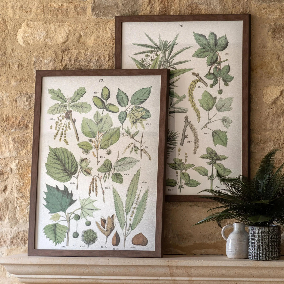 Bodhi Accessories Foliage Study Framed Art Set of 2 House of Isabella UK