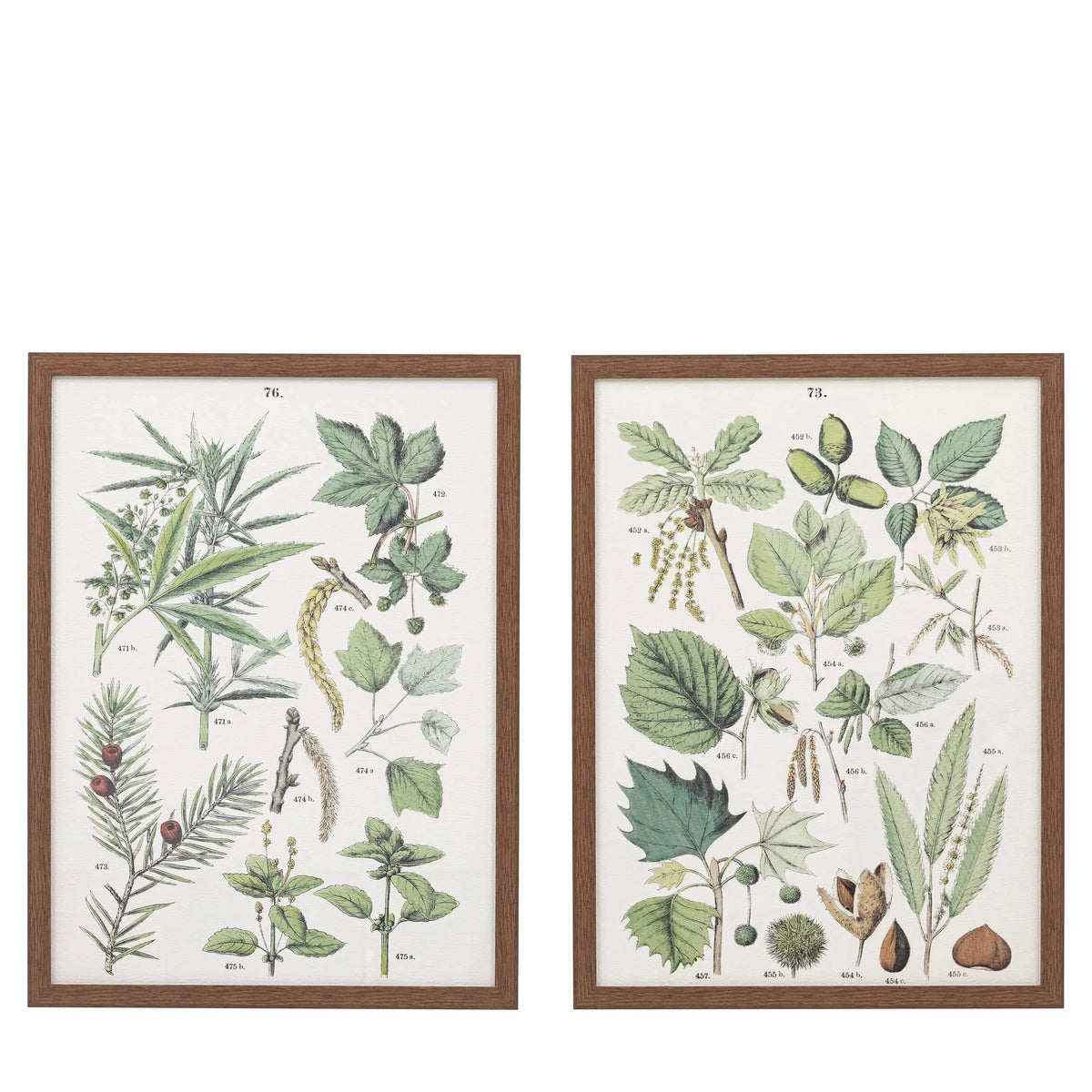 Bodhi Accessories Foliage Study Framed Art Set of 2 House of Isabella UK