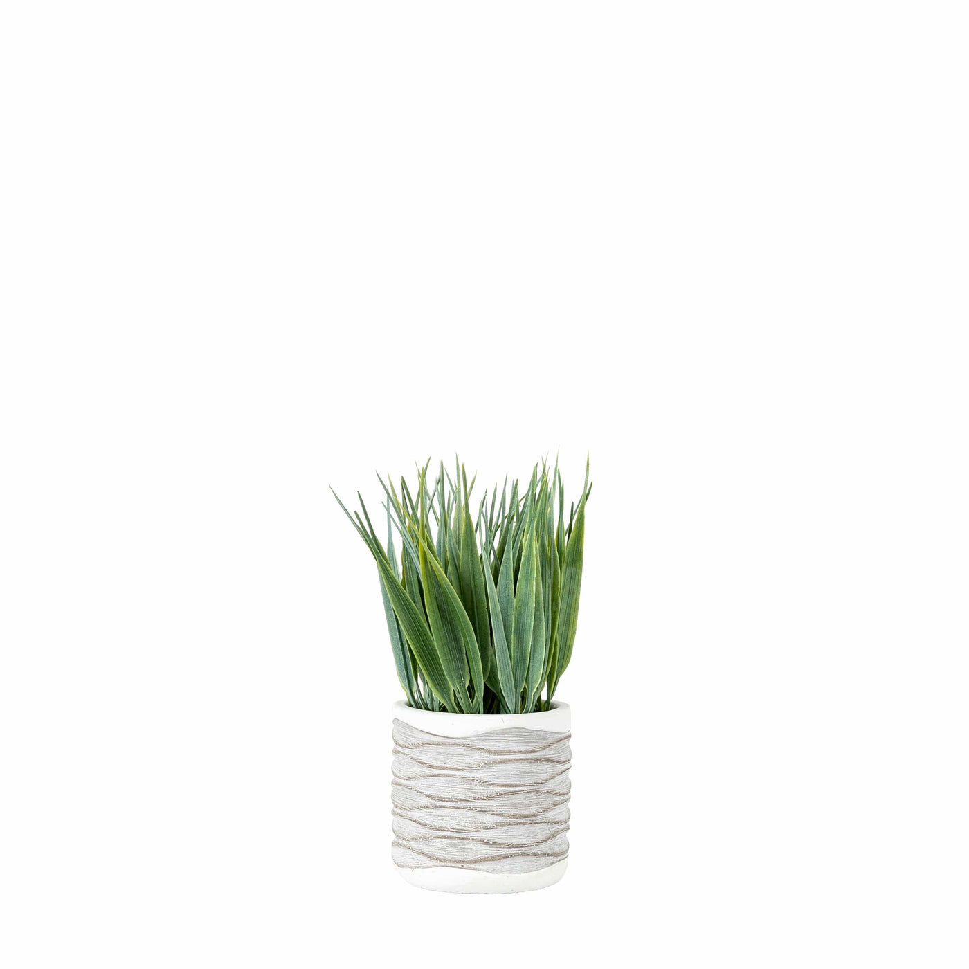 Bodhi Accessories Gianna Grass in Wavy Pot Small (2pk) House of Isabella UK