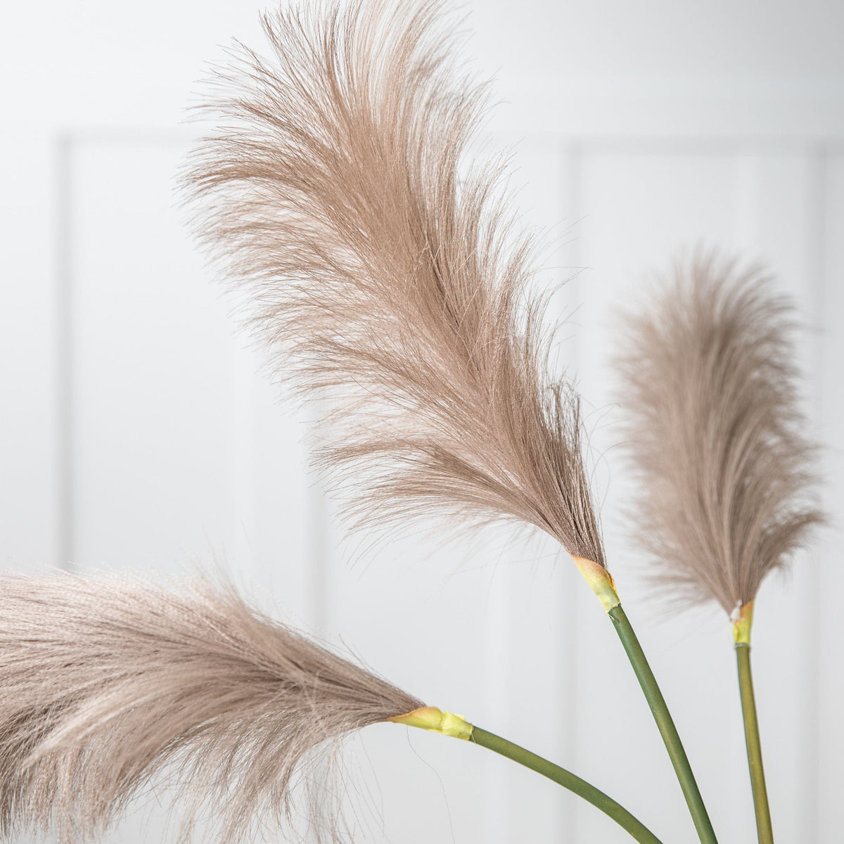 Goma Soft Feather Stem Brown (5pk).