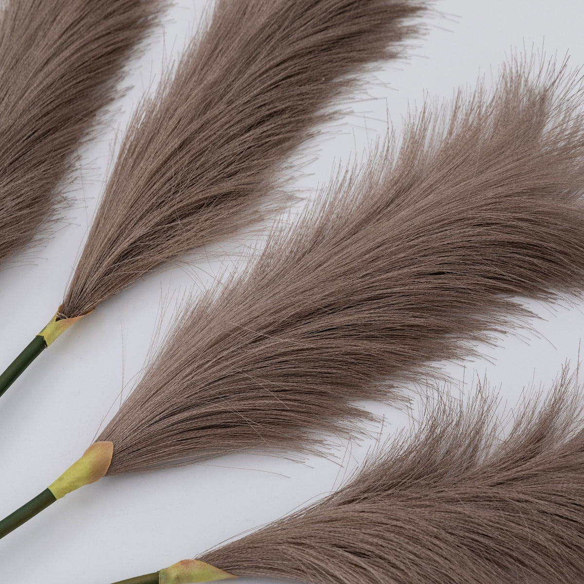 Goma Soft Feather Stem Brown (5pk).